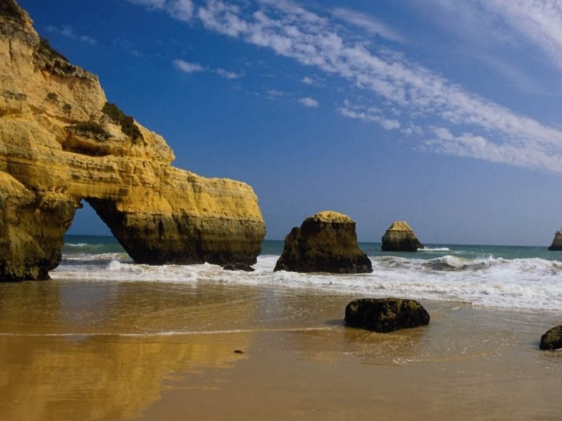 naturaleza-fondo-de-pantalla-014.jpg