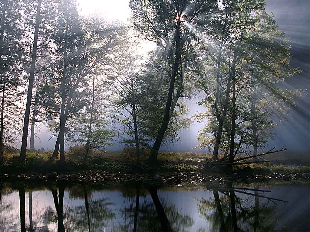 naturaleza-fondo-de-pantalla-052.jpg