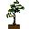 arbol-015.jpg
