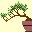 arbol-016.jpg