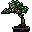 arbol-021.jpg