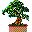 arbol-025.jpg