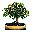 arbol-027.jpg