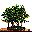 arbol-030.jpg