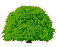 arbol-043.gif