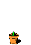 arbol-044.gif