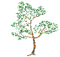 arbol-051.gif