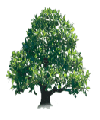 arbol-053.gif
