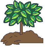 arbol-061.gif