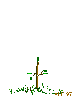 arbol-062.gif