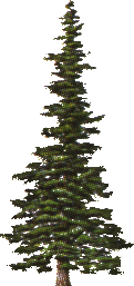 arbol-063.png