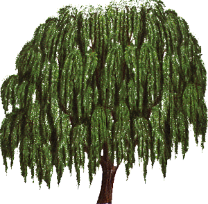 arbol-064.png