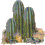 cactus-004.gif
