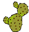 cactus-005.gif