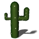 cactus-010.png