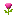 flores-004.gif