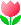 flores-025.gif