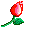 flores-036.gif