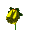 flores-039.gif