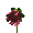 flores-041.gif