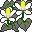 flores-206.jpg