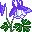 flores-207.jpg