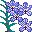 flores-208.jpg
