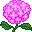 flores-211.jpg