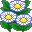 flores-213.jpg