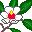 flores-214.jpg
