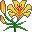 flores-215.jpg