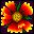 flores-218.jpg