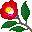 flores-219.jpg