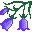 flores-221.jpg