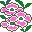 flores-223.jpg