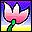 flores-225.jpg