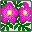 flores-226.jpg