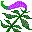 flores-228.jpg