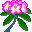 flores-229.jpg