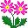 flores-230.jpg