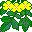flores-231.jpg