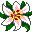 flores-232.jpg