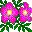 flores-235.jpg