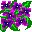 flores-242.jpg