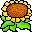 flores-245.jpg