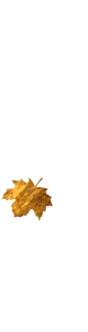 hojas-017.gif