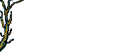 hojas-027.gif