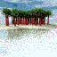 palmeras-020.gif