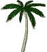 palmeras-023.gif