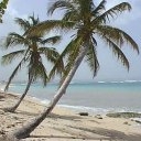 palmeras-029.jpg